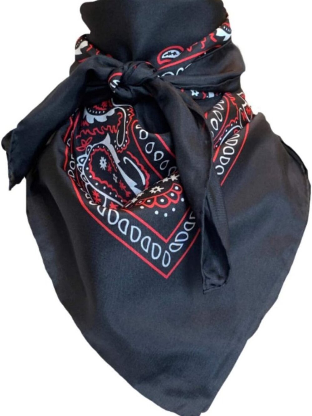 Silk Cowboy Bandana Wild Rag Scarf - 100% Silk, Multiple Colors, 20"-42" Sizes